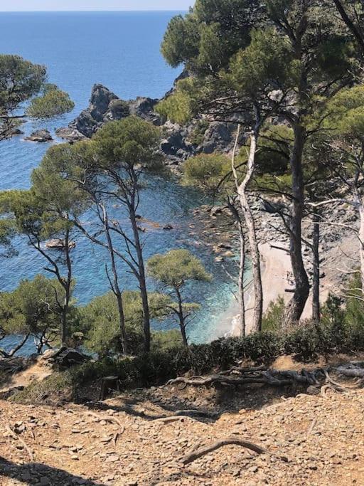 Апартаменти Petite Endroit Splendide. Сі-Фур-ле-Плаж Екстер'єр фото